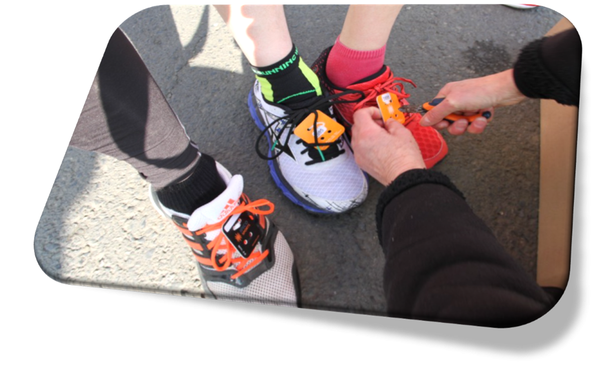 Puces chaussures jpg 1